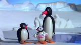 23 - Pingu sukeltaa
