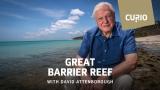 Great Barrier Reef with David Attenborough