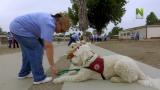 11 - Deborah ja The Prison Dogs / Liam