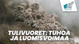 Tulivuoret: Tuhoa ja luomisvoimaa