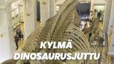 Kylmä dinosaurusjuttu
