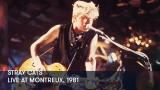 1 - Stray Cats - Live at Montreux, 1981