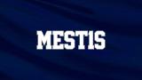 Mestis