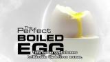 MasterChef Australian tuomari näyttää miten keittää täydellinen muna