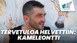 Tervetuloa helvettiin: Kameleontti