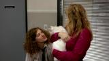 3 - Save the Cat