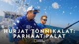 Hurjat tonnikalat: parhaat palat