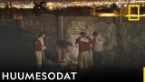 Huumesodat