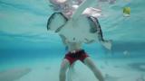 16 - Cayman-saaret