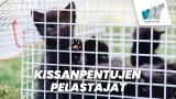 Kissanpentujen pelastajat