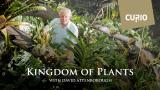 David Attenborough's Kingdom of Plants