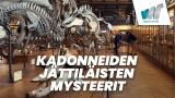 Kadonneiden jättiläisten mysteerit