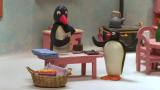 20 - Pingu lehdenjakajana