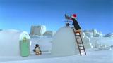 16 - Pingu ja side