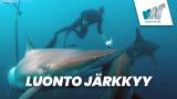 Luonto järkkyy