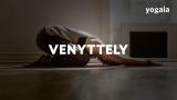 8 - Harjoitus 4: Venyttely