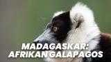 Madagaskar: Afrikan Galapagos