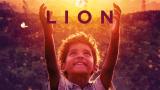 Lion (12)
