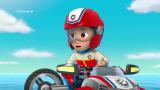 25 - Paw Patroller Upoksissa / Varastelevat Varikset