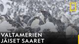 Valtamerien jäiset saaret