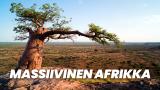 Massiivinen Afrikka