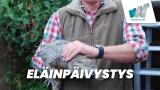 Eläinpäivystys