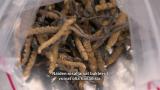19 - Pulmalliset nuudelit