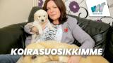 Koirasuosikkimme