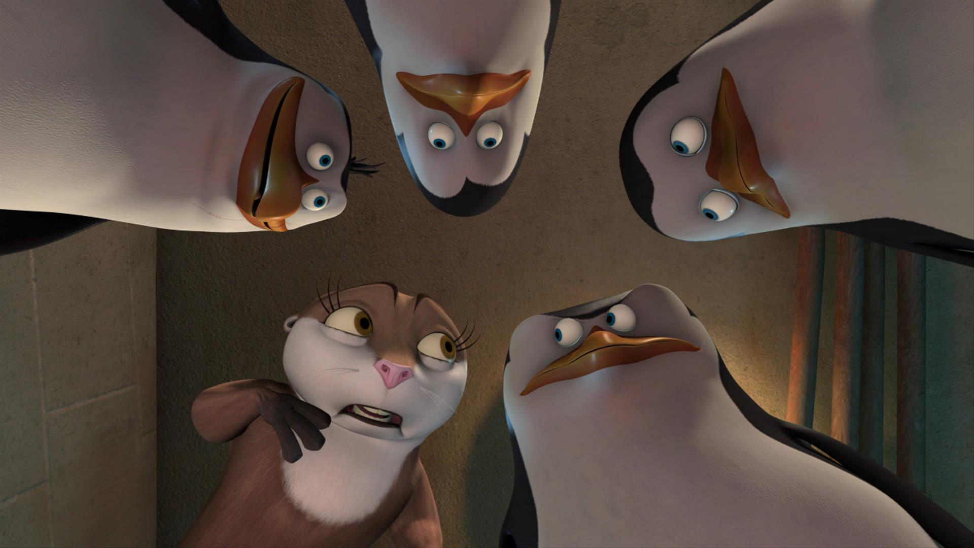 Пингвины из мадагаскара джулиан. Спасибо за внимание пингвины из мадагаскара. Пингвины из мадагаскара 2008. Пингвины мадагаскара. Ковальский из мадагаскара.