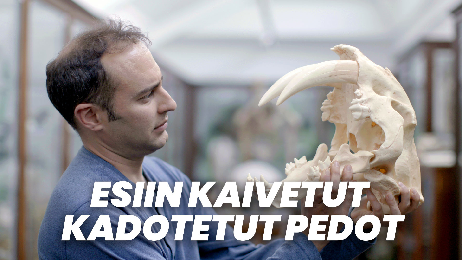 Esiin kaivetut kadotetut pedot | Ruutu