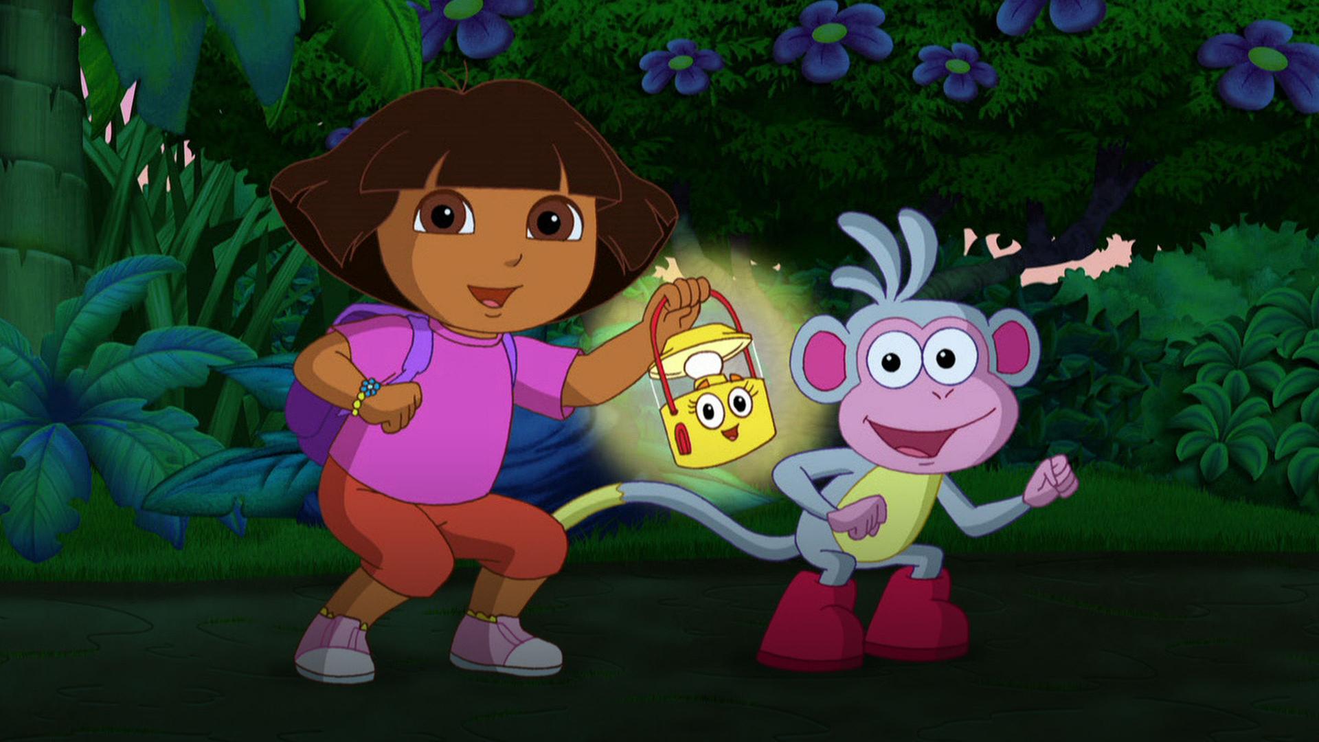 Dora the Explorer, Dora's Night Light Adventure