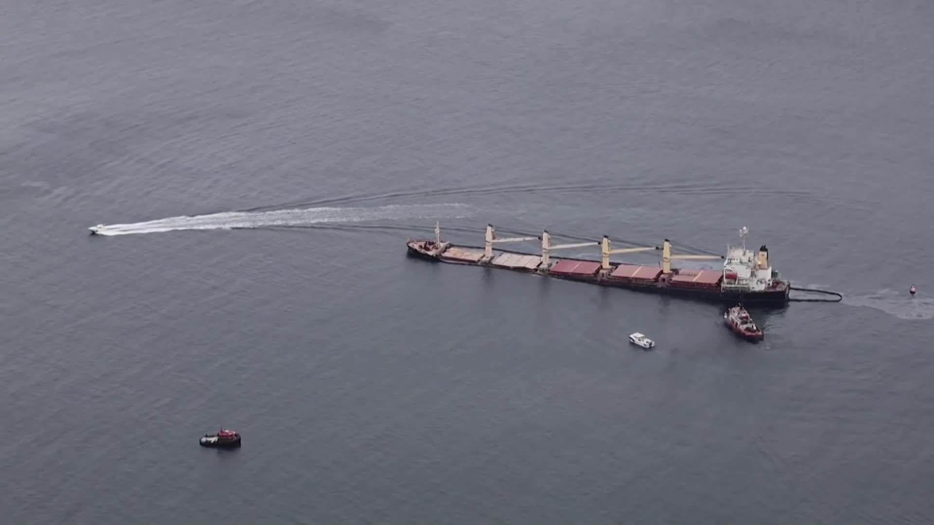 Fax Bus 38 Schedule Today