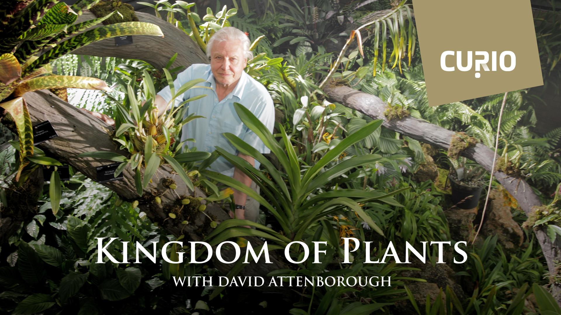 David Attenborough's Kingdom of Plants | Ruutu