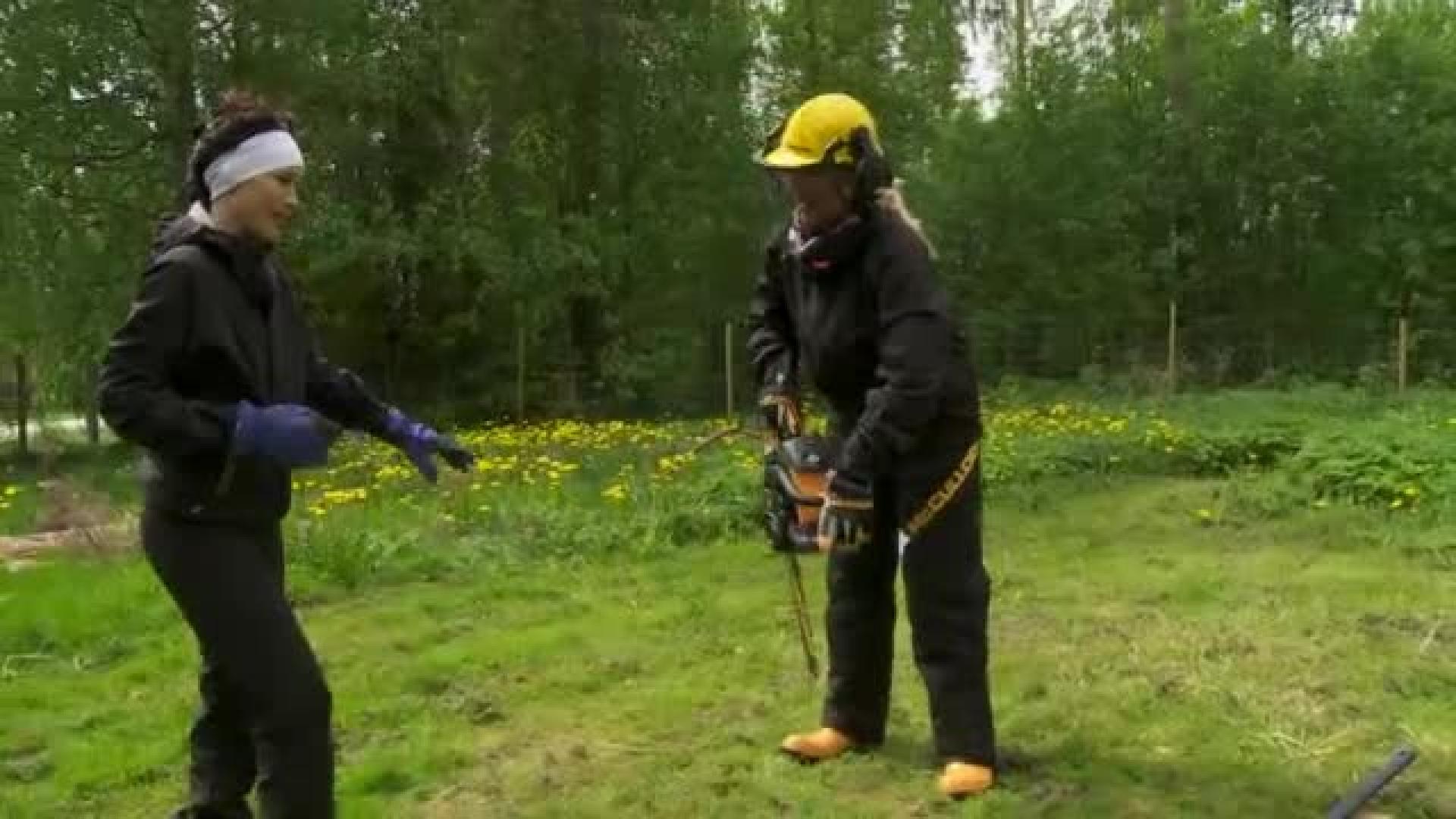 MILF suku puoli pillua