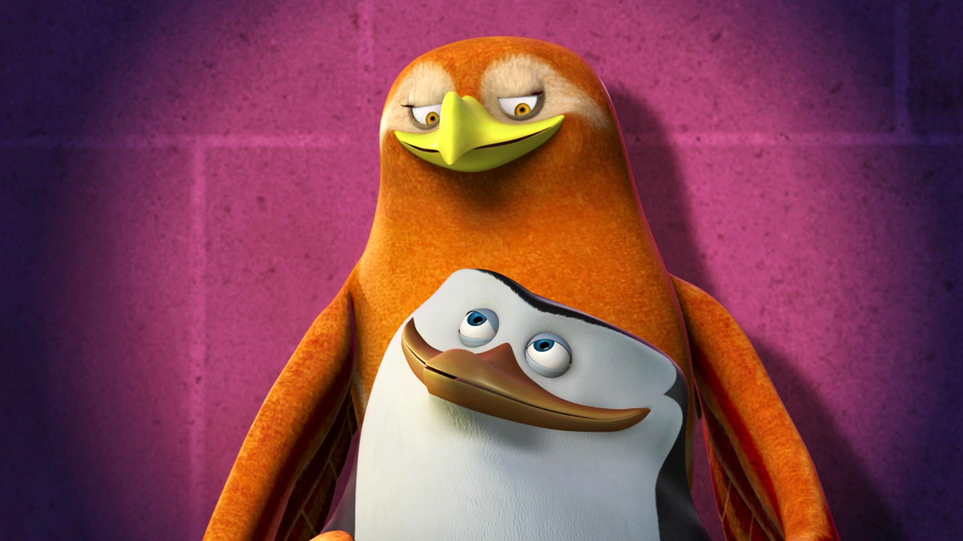 Kitka penguins of madagascar