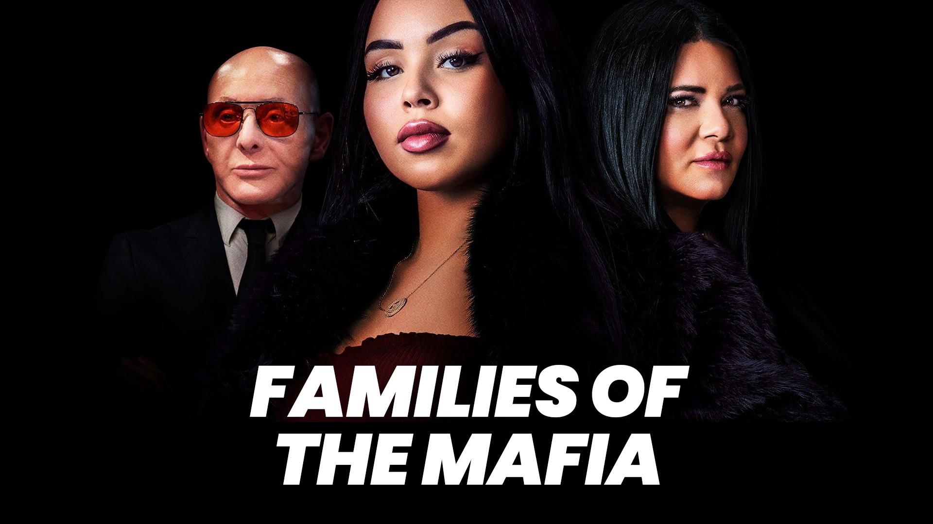 Families of the Mafia Ruutu
