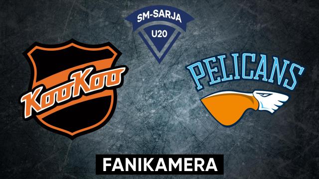 KooKoo - Pelicans, Fanikamera - KooKoo - Pelicans, Fanikamera 27.9.