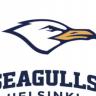 Seagulls valmentaja: kävin rapakon takana hakemassa vauhtia play Offseihin!