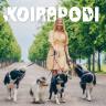 Eläinlääkäri Simona Lilius-Lappalainen vastaa kiperiin kysymyksiin mm. koirien terveydestä