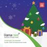 22: LianaCastin joulupaketti - Vuoden 2020 kiinnostavimmat nostot