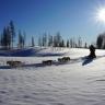 Pohjoisen yrittäjät huolissaan koronatoimista: meillä on jo suunnitelmat valmiina!